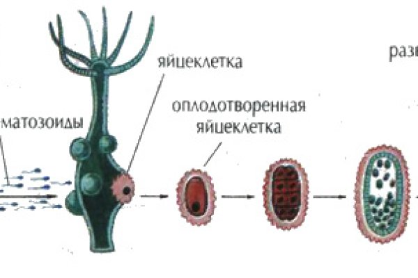 Kraken ссылка krakentor site