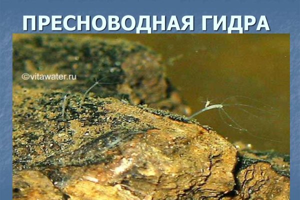 Кракен сайт наркотиков