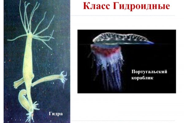 Кракен даркнет зеркало пв