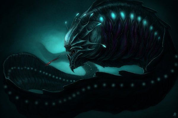 Кракен порошок