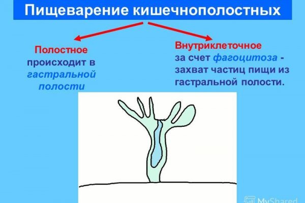 Кракен маркетплейс официальный сайт