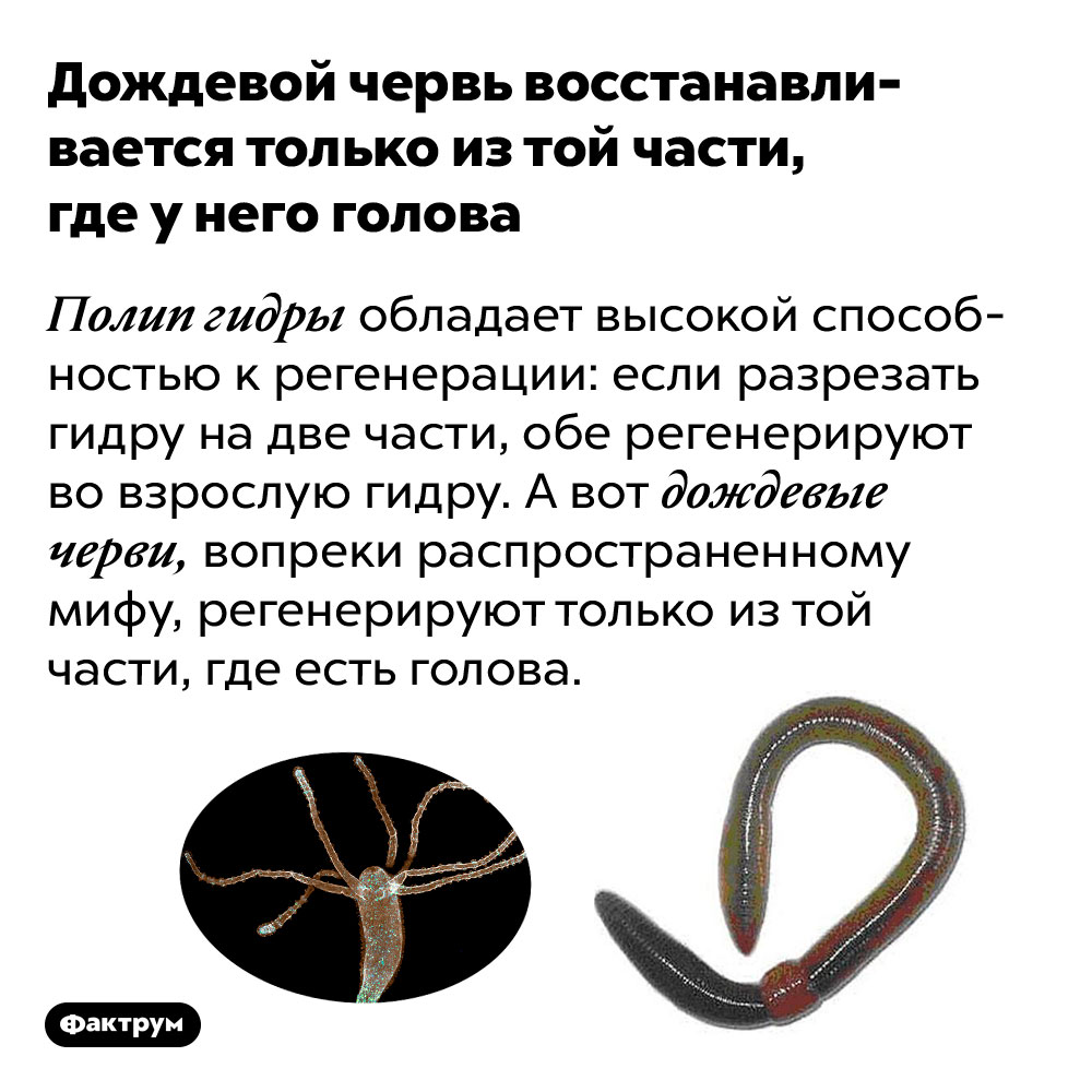 Kraken новая ссылка